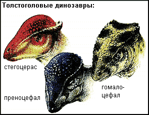 Толстоголовые динозавры