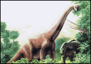 Брахиозавр и дуреозавр