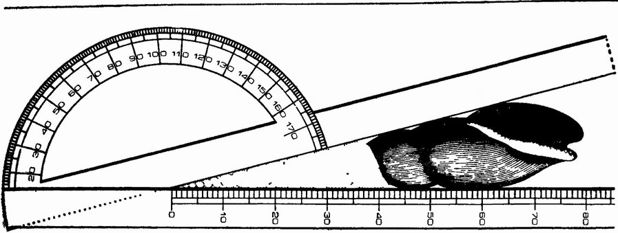 Фиг. 15. Инструмент для измерения вершинного угла раковин брюхоногих моллюсков, предложенный д'Орбиньи в 1842 г. [215]