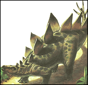 Стегозавр